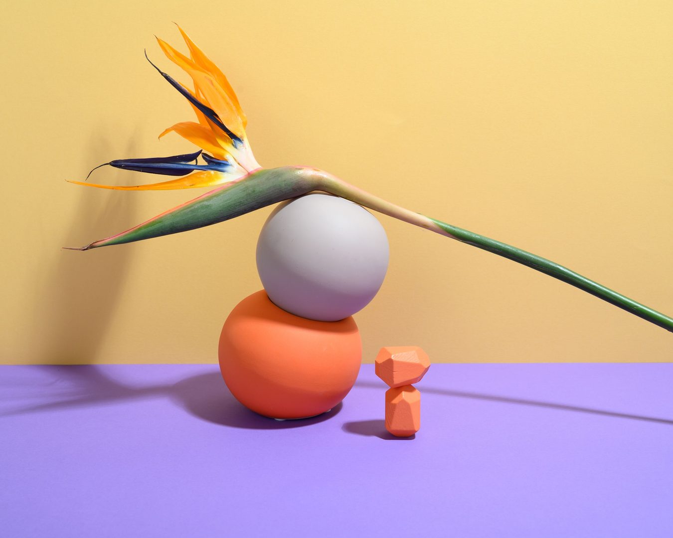 Blume auf Kugeln